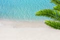 White sand beach and tropical sea with palm tree. Royalty Free Stock Photo