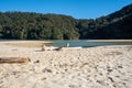 White sand beach in the Abel Tasman National Park, Bark Bay, New Zealand Royalty Free Stock Photo