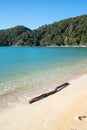 White sand beach in the Abel Tasman National Park, Bark Bay, New Zealand Royalty Free Stock Photo