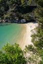 White sand beach in the Abel Tasman National Park, Bark Bay, New Zealand Royalty Free Stock Photo