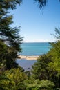 White sand beach in the Abel Tasman National Park, Bark Bay, New Zealand Royalty Free Stock Photo