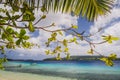 White sand beaches in the kingdom of Tonga