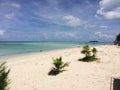 White sand calm clear water of the Philippine sea and palm trees Royalty Free Stock Photo