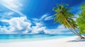 White sand and cloudy blue sky, beautiful tropical palm trees beach background Royalty Free Stock Photo
