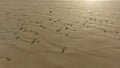 White sand, coast and shadow view on bayah beach