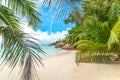 White sand and coconut palm trees in Anse Lazio beach Royalty Free Stock Photo