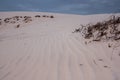 White sand desert, dunes and vegetation Royalty Free Stock Photo