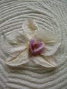 White sand design and flower, symbolizing spirituality, calm