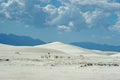 White sand dunes Royalty Free Stock Photo