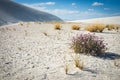 White sand dunes and blue cloudy sky in New Mexico desert Royalty Free Stock Photo