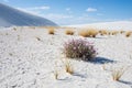 White sand dunes and blue cloudy sky in New Mexico desert