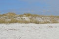 White sand dunes in the Florida Panhandle Royalty Free Stock Photo