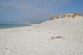 White sand dunes in the Florida Panhandle Royalty Free Stock Photo