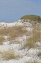 White sand dunes in the Florida Panhandle Royalty Free Stock Photo