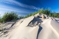 White sand dunes with green plant growth and blue sky. Royalty Free Stock Photo