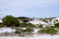 White Sand Dunes I