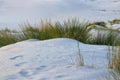White Sand dunes ina beach Royalty Free Stock Photo