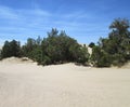 White Sand Dunes, Little Sahara, Utah Royalty Free Stock Photo
