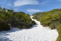 White sand dunes in the Panhandle of Florida Royalty Free Stock Photo