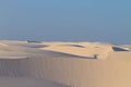 White sand dunes panorama from Lencois Maranhenses National Park, Brazil Royalty Free Stock Photo