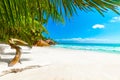 White sand and palm trees in Anse Lazio beach Royalty Free Stock Photo