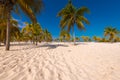 White sand and palm trees on the beach Playa Sirena, Cayo Largo, Cuba.