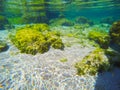 White sand and rocks in Alghero sea floor Royalty Free Stock Photo