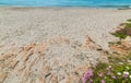 White sand and rocks in Le Bombarde beach in Alghero Royalty Free Stock Photo