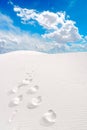 White Sands and footprints Royalty Free Stock Photo