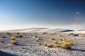 The White Sands Nat. Park.