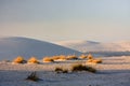 The White Sands Nat. Park.