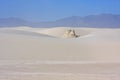 The White Sands Nat. Park.