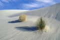 White Sands National Monument Royalty Free Stock Photo