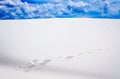 White Sands National Monument Royalty Free Stock Photo