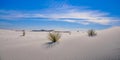 White sands national monument with desert dunes