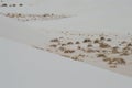 Dunes of White Sands National Monument Royalty Free Stock Photo