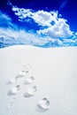 White Sands National Monument Royalty Free Stock Photo