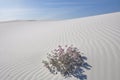 White Sands National Monument, New Mexico Royalty Free Stock Photo