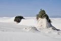 White Sands National Monument, New Mexico Royalty Free Stock Photo