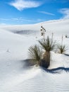 White Sands National Monument