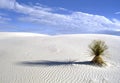 White Sands National Park in New Mexico Royalty Free Stock Photo