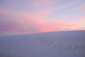 White Sands National Park at Sunset, NM Royalty Free Stock Photo