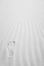 White Sands New Mexico - Mysterious Foot Steps Royalty Free Stock Photo