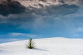 White Sands southern New Mexico