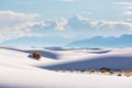 White sands Royalty Free Stock Photo