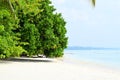 White Sandy Beach with Azure Sea Water Leaning Coastal Trees on Bright Sunny Day - Vijaynagar, Havelock, Andaman Nicobar, India