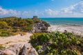 White sandy beach, palm trees, yucca plants and Mayan ruins in the background. Riviera Maya on the Caribbean. Tulum, Yucatan, Mexi Royalty Free Stock Photo