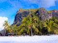 White Sandy Beach Palms, Tropical Island Mauritius Royalty Free Stock Photo