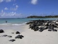 White sandy beach with scattering of rocks in forefront