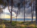 white sandy beach - view through the dune forest to the Baltic Sea between Zinnowitz and Zempin on the island of Usedom